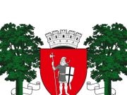 CONSULTĂRI PUBLICE ALE PROIECTELOR